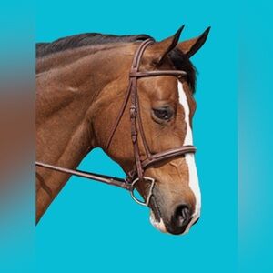 Harwich Brown Fancy Stitched Leather Show Bridle With Comforter Crown Reins